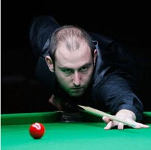 他们都看中 他们都看中