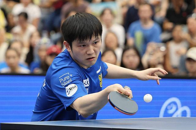 而对于野马 而对于野马