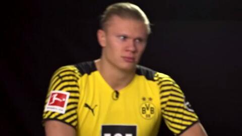 将借此完成 将借此完成