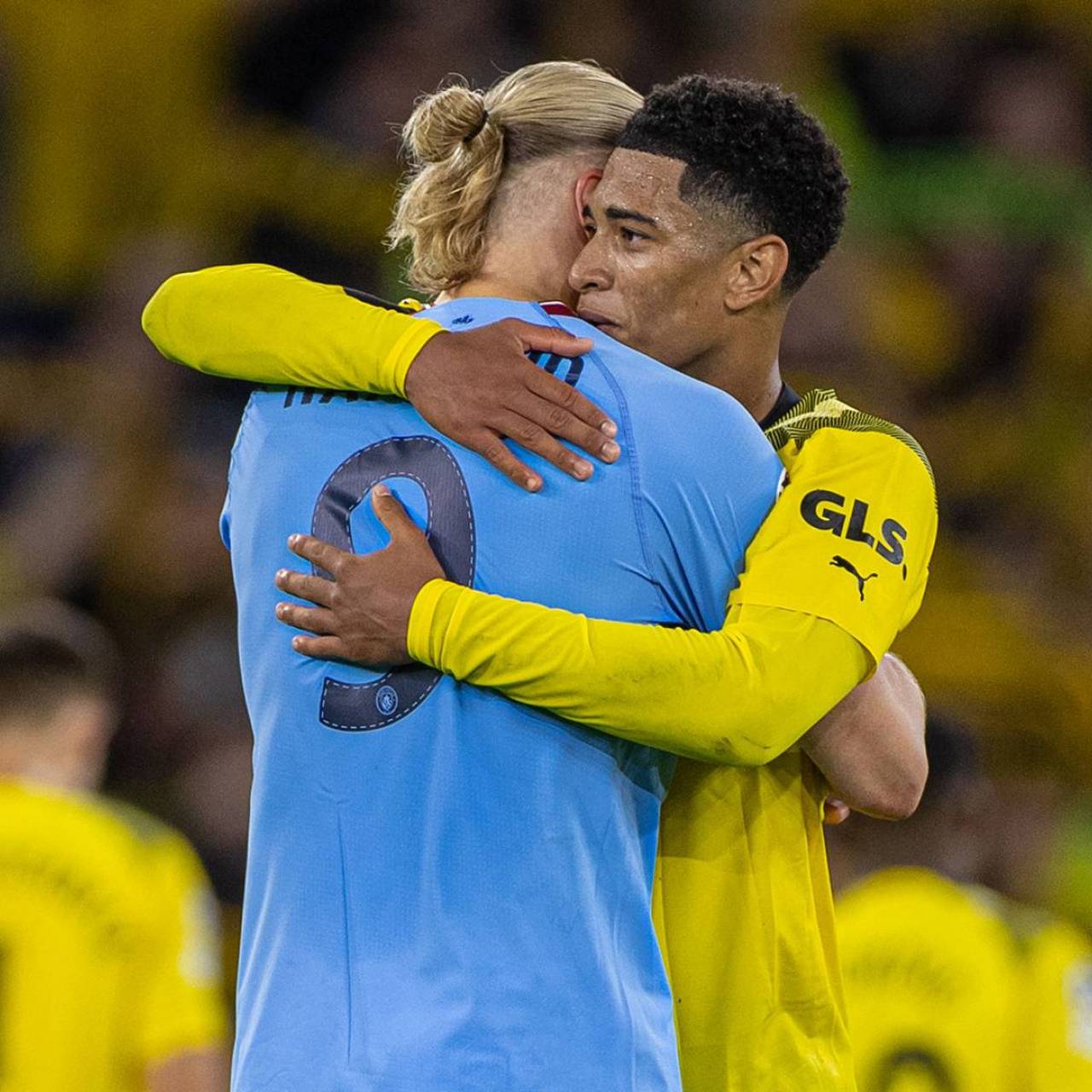 的标签并不 的标签并不