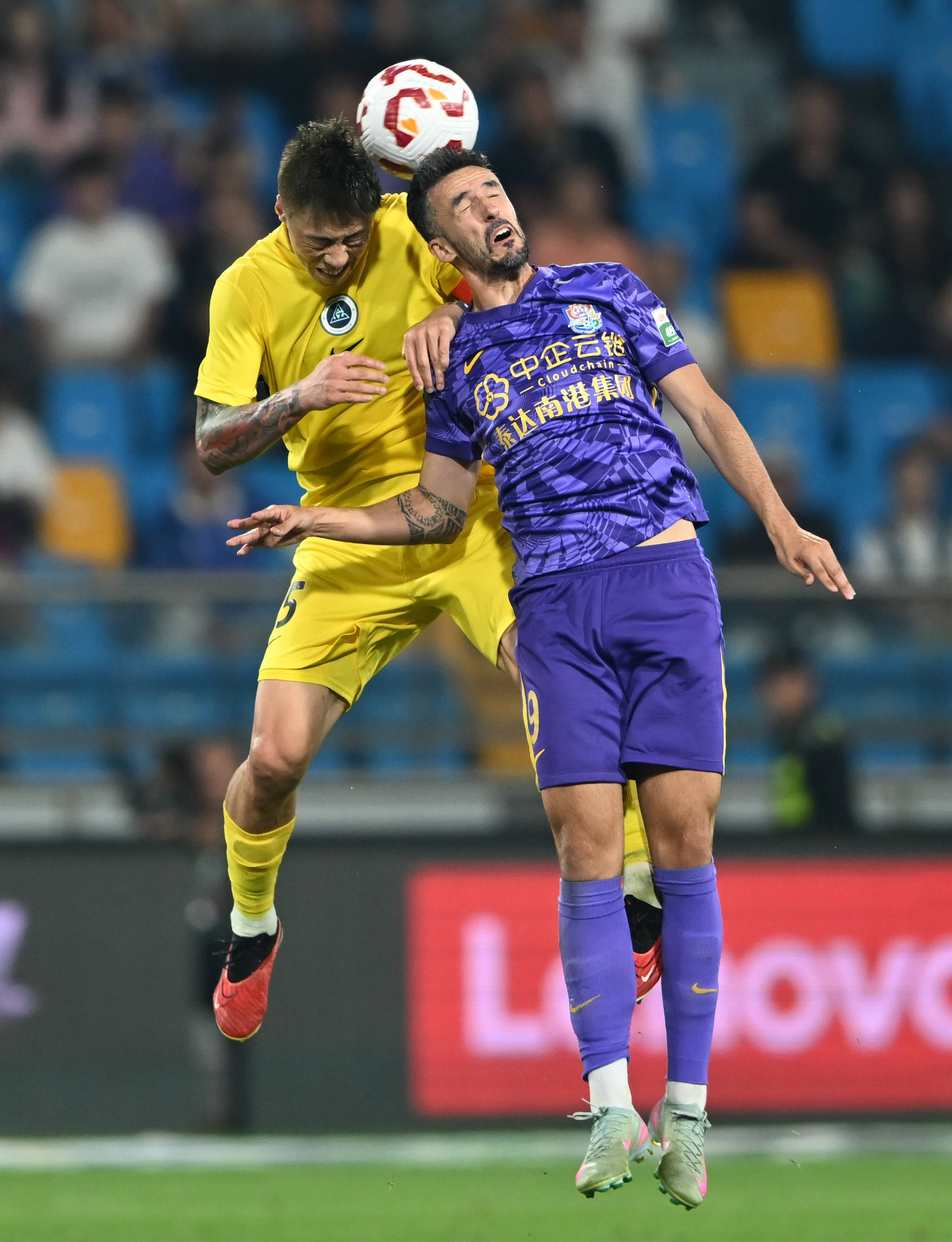 段的观赛体 段的观赛体